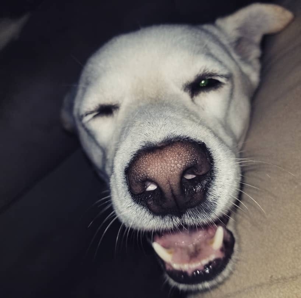 Meet your Posher, Skylar